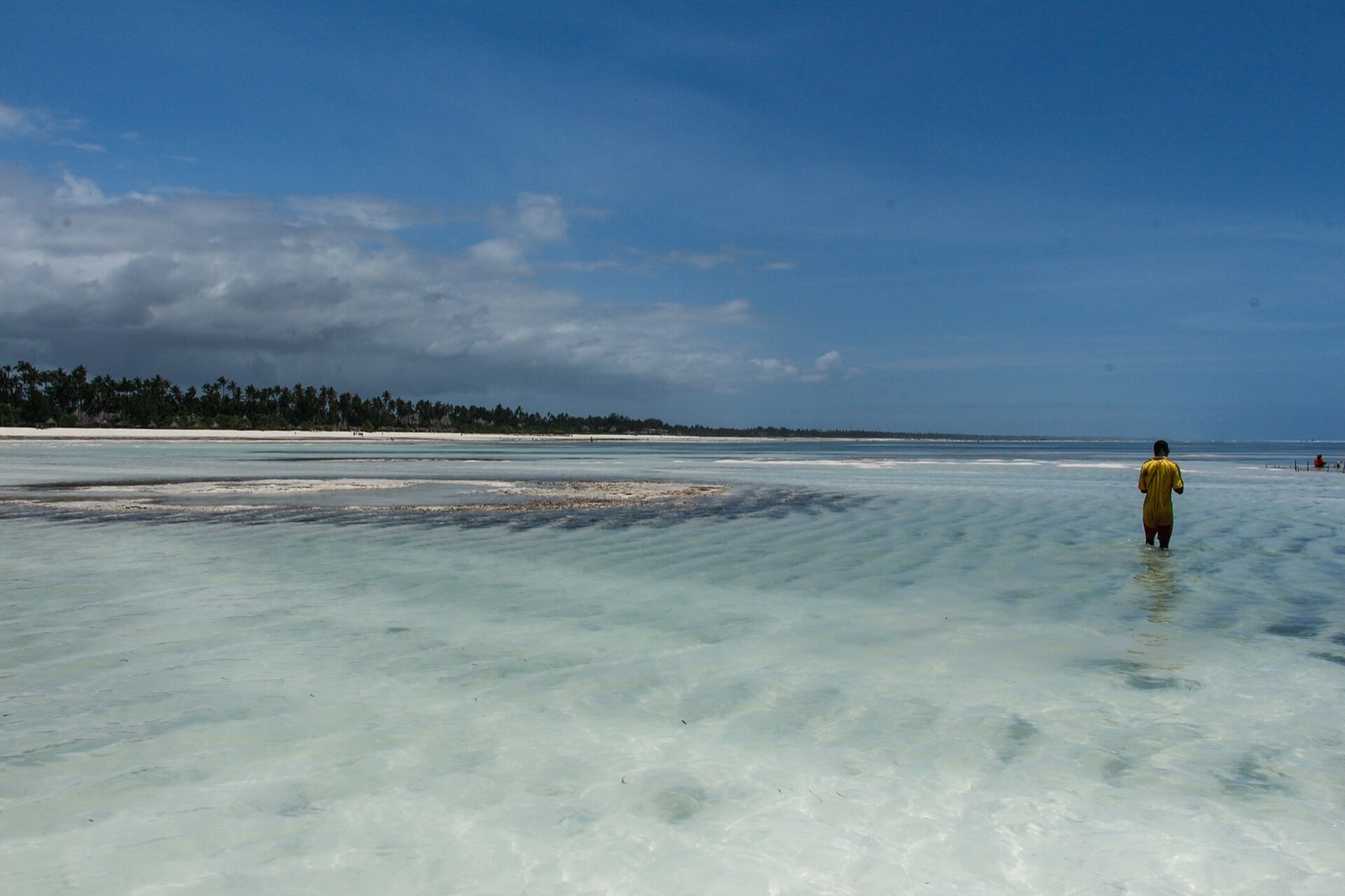 Zanzibar, Tanzania · Eden Trails